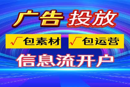 XX领域竞价广告的投放策略及效果展示
